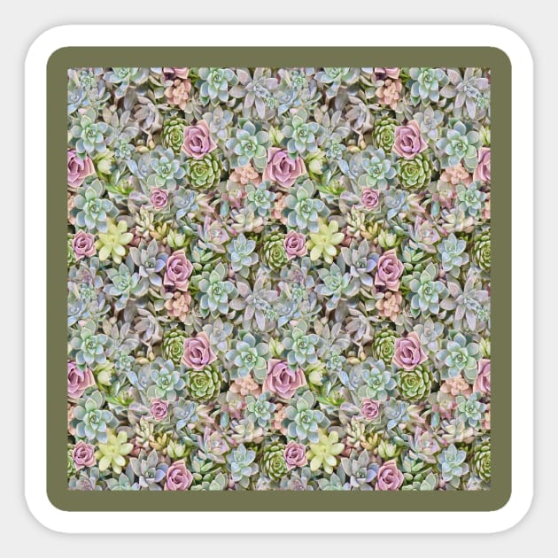 Succulents Pastels Sticker by My Petal Press